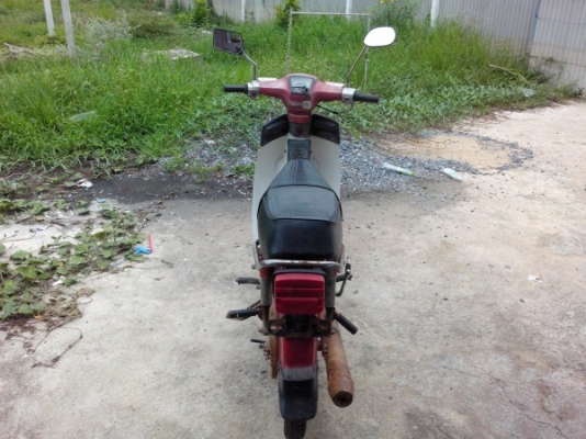 ขาย c900นันทิดาทองขาวสีแดง  แห้งสวย แท้เยอะ ทะเบียนโอน