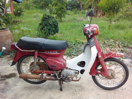 ขาย c900นันทิดาทองขาวสีแดง  แห้งสวย แท้เยอะ ทะเบียนโอน