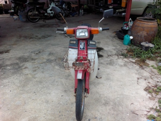 ขาย c900นันทิดาทองขาวสีแดง  แห้งสวย แท้เยอะ ทะเบียนโอน