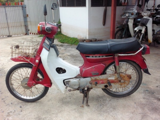 ขาย c900นันทิดาทองขาวสีแดง  แห้งสวย แท้เยอะ ทะเบียนโอน