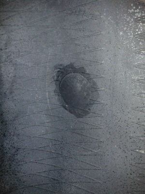 ขายยาง Mud Maxxis 762 ขนาด 31/10.5R15 ปี 11 สภาพสวย ขายยาง Mud Maxxis 762 ขนาด 31/10.5R15 ปี 11 สภาพสวย