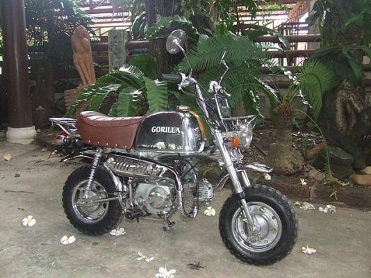 กอริลล่าLIMITED ญี่ปุ่นเดิมๆครับ