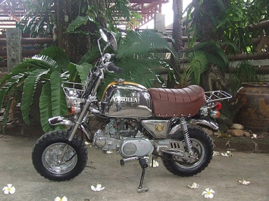 กอริลล่าLIMITED ญี่ปุ่นเดิมๆครับ