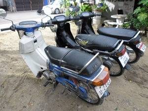 ดรีม 2 สตาร์ทมือ , เมท ดรีม 2 สตาร์ทมือ , เมท