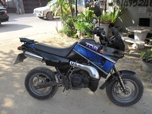 yamaha TDR 50cc