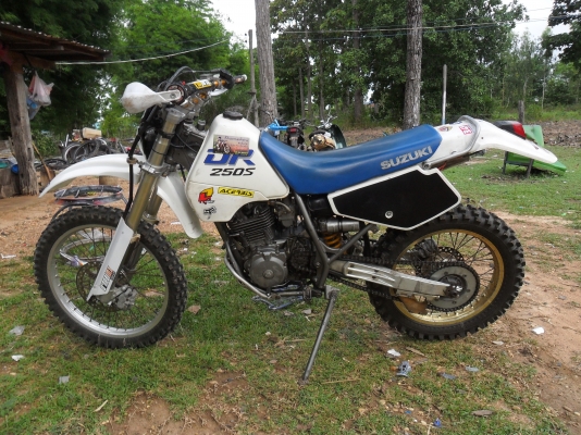 dr250ถูกๆครับ dr250ถูกๆครับ