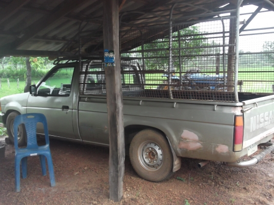 nissan ฝาแดง nissan ฝาแดง