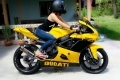 ขายแฟด<Ducati 1098>ของแต่งใหม่เกือบหมด เข้ามาชมก่อนได้ครับ ขายแฟด<Ducati 1098>ของแต่งใหม่เกือบหมด เข้ามาชมก่อนได้ครับ