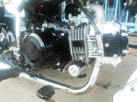 รถ4เดือน