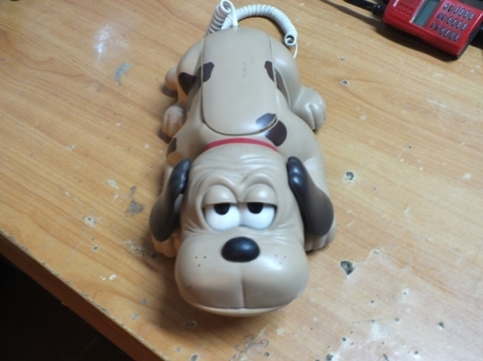 ขายครับโทรศัพท์ หมาน่ารัก