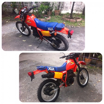 ขาย XLX 250 ญี่ปุ่น