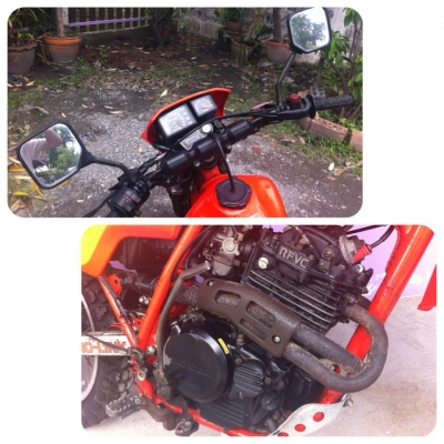 ขาย XLX 250 ญี่ปุ่น