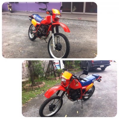 ขาย XLX 250 ญี่ปุ่น