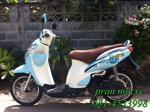 ขายjelatoสีฟ้า ปี2555