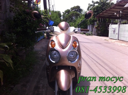 ขายjelato สีน้ำตาล ปี2555 ขายjelato สีน้ำตาล ปี2555