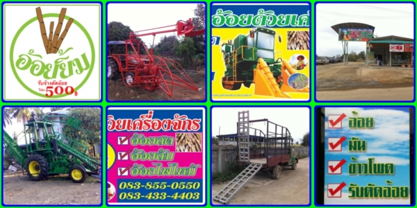 ขายถูกๆค่ะ