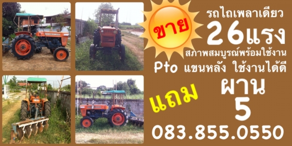 ขายถูกๆค่ะ