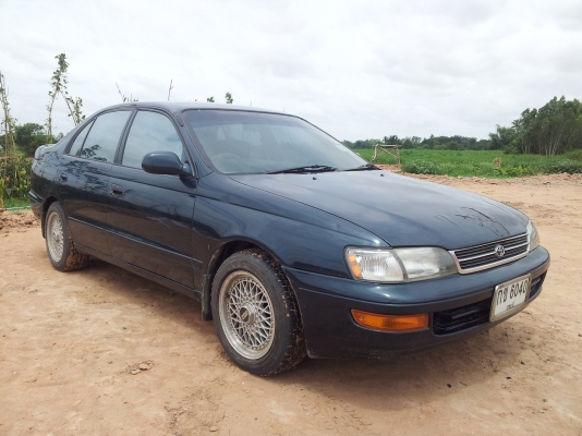 ขาย ท้ายโด่ง หน้าเดิมๆ.. ครับ