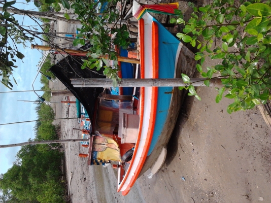 ขายเรือตกปลา ลากหมึก วางอวนปู