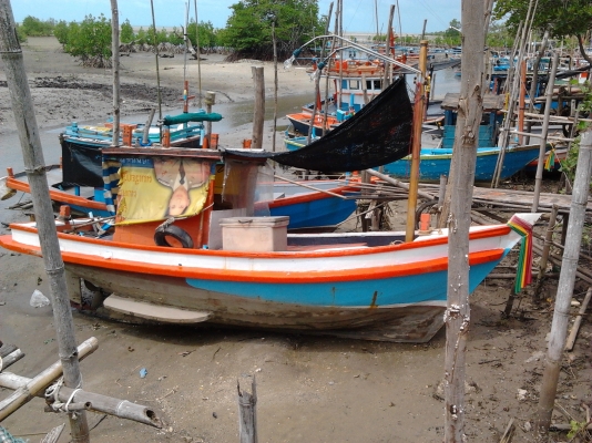 ขายเรือตกปลา ลากหมึก วางอวนปู