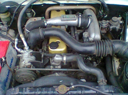 ขายดราก้อนหัวเดียวปี 2000 พร้อมใช้คับ