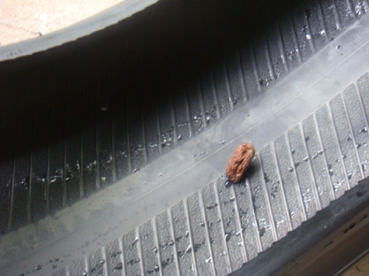 ขายยาง Hankook Ventus V12 ปี 11