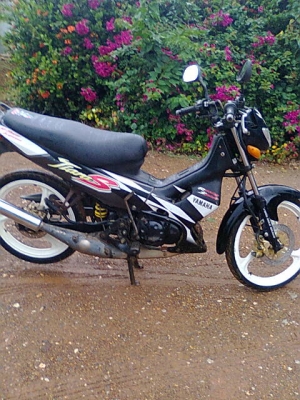 เทียรร่าปี44 แม็กแท้แยกแม็กได้ครับ