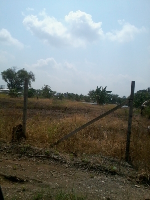 ขายด่วนไม่ที่ดิน10ไร่2แปลง รวม20ไร่ อยู๋ด้านหลังศูนย์กระจายสินค้าลาดกระบัง เหมาะสำหรับสร้างโกดังไว้เก็บสินค้า ที่ดินข้างๆกำลังเริ่มก่อสร้างครับ