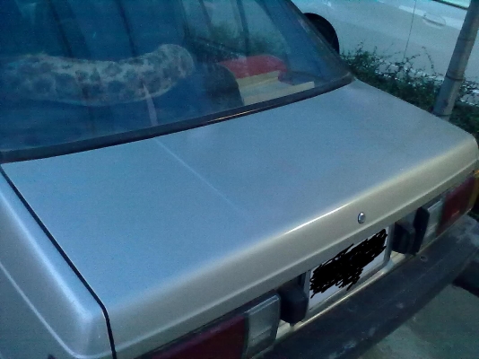 ขาย nissan sunny b11   35000