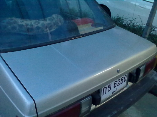 ขาย nissan sunny b11   35000