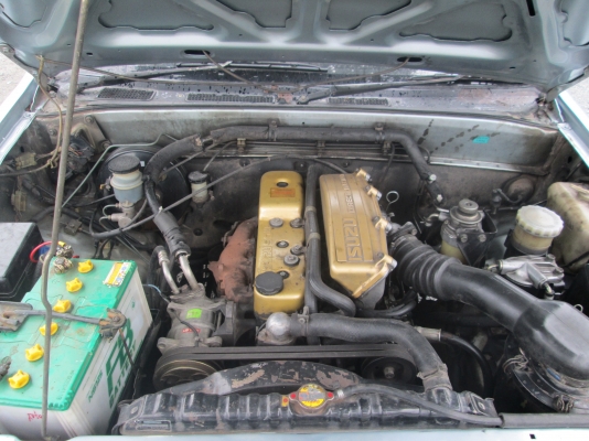 ISUZU  TFR  มังกรทอง  หน้าหนู