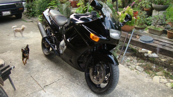 kawasaki zx 400 ทะเบียน