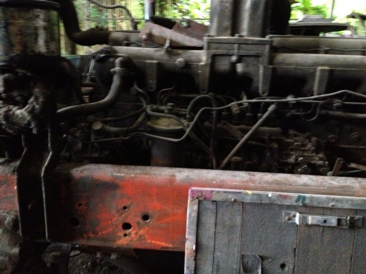 ขายคัดซีเบ้นใหญ่ ขายคัดซีเบ้นใหญ่