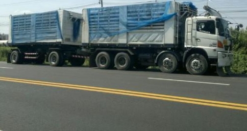 ขาย Mega 320 พ่วงแม่ลูกดั้ม ปี 48 รถสวยพร้อมใช้ โทร 088-4501277