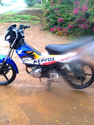 โซนิคปี50แม็กแท้