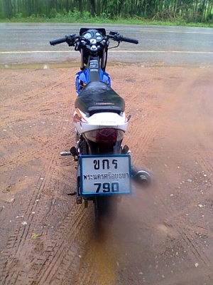 โซนิคปี50แม็กแท้