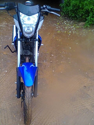 โซนิคปี50แม็กแท้