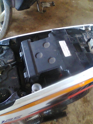 โซนิคปี50แม็กแท้