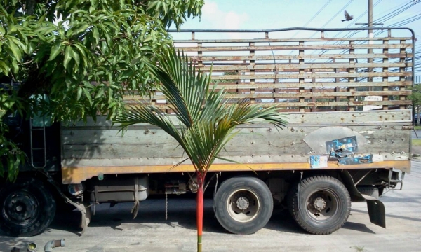 MITSUBISHI FUSO FN215K