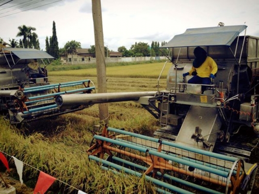 บริการซ่อมรถเกี่ยวข้าว ทุกชนิด ปะผุ ซ่อม เปลี่ยนอะไหร่ แต่ง เเปลง คืนสภาพ ทำสี  ตามต้องการ ราคากันเองที่สุด ปรึกษาเราได้ก็ทำมาแล้ว สิบกว่าคัน เหลือคันหนึ่งจะเสร็จ เราไม่รับรถมารอ ทำเสร็จค่อยรับมาทำต่อ