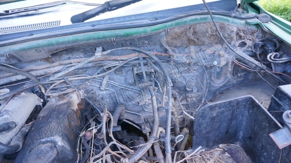 ประมูล - ขายทอดตลาด รถเก็บขยะ ยี่ห้อ MITSUBISHI // เปิดรับการประมูลตั้งแต่ตอนนี้ จนถึงพรุ่งนี้เช้า