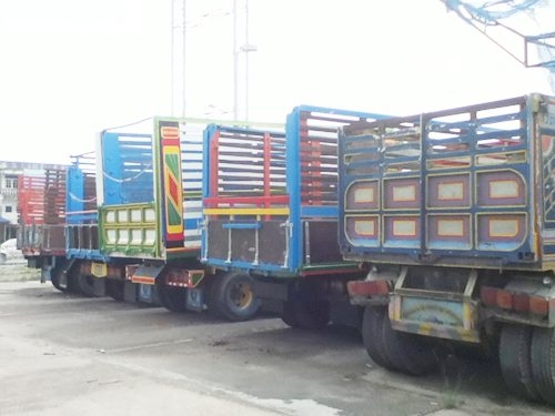 ขายรถบรรทุก 10 ล้อ เพลาเดียว หลายคัน ขายรถบรรทุก 10 ล้อ เพลาเดียว หลายคัน