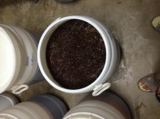 ขายน้ำหมัก