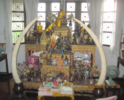 ขาย งาช้างคู่ แท้ สูง 136 ซม มีใบอานุญาติถูกต้อง หนัก 12กิโล ขาย 1850000-