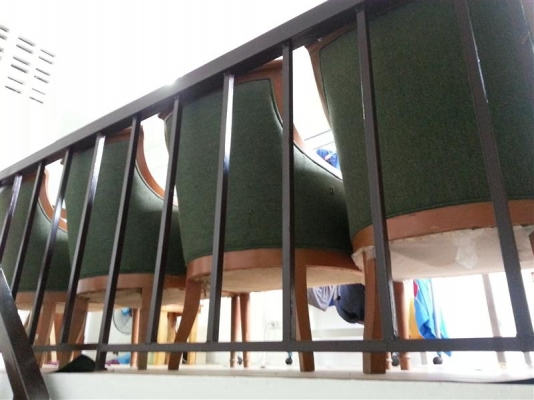 เก้าอี้โครงไม้สักแท้/ม้าลำพอง/สิงโตคู่ ทำจากไม้มะยมป่าทั้งต้น