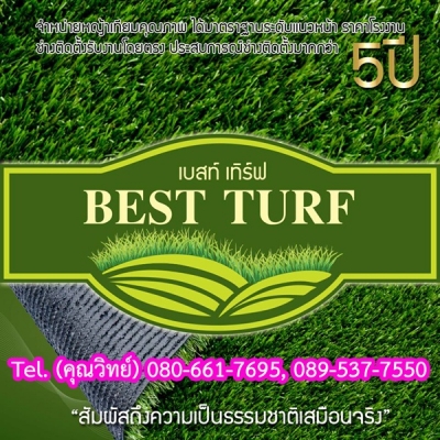 หญ้าเทียม Best Turf
