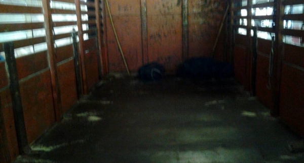 ขายรถบรรทุก Hino 10ล้อ1เพลา ขายรถบรรทุก Hino 10ล้อ1เพลา