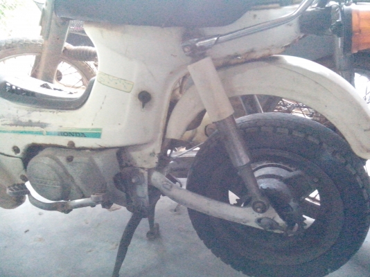 ขายชาลียืนคันตามสภาพ 8500 บาท