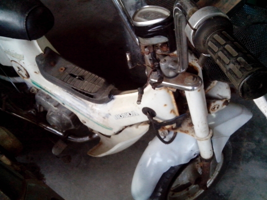 ขายชาลียืนคันตามสภาพ 8500 บาท