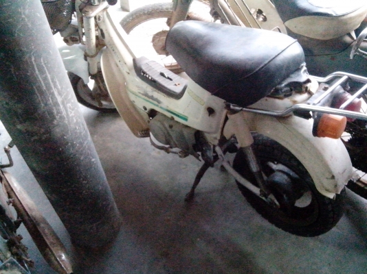 ขายชาลียืนคันตามสภาพ 8500 บาท